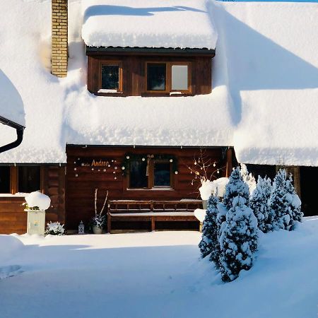 Andrea- Neakceptujeme Mlade Partie Villa Terhely Kültér fotó